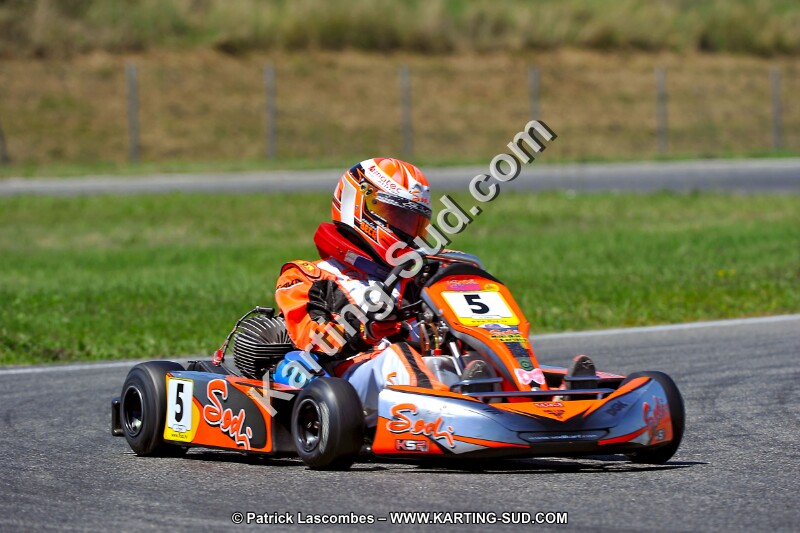 DSC_ (1482).jpg